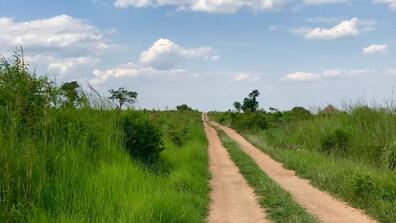 Bidibidi Road