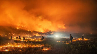 Fires in Maui. Photo by Creative Commons. 