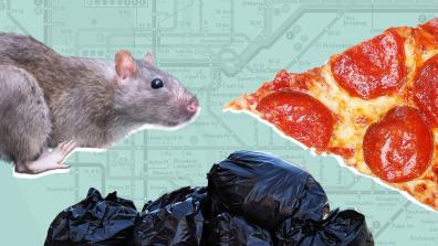 Want to Meet New York’s Pizza Rats? There’s a Tour for That