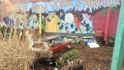 East New York Farms
