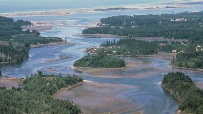 Image of a wetland