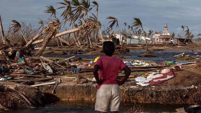 A child looking at a place with trees hit by a hurricane
