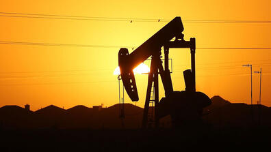 Oil