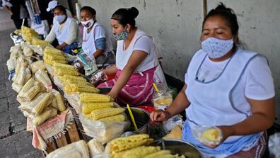 A row of women wearing face masks sell grilled corn at an outdoor market.