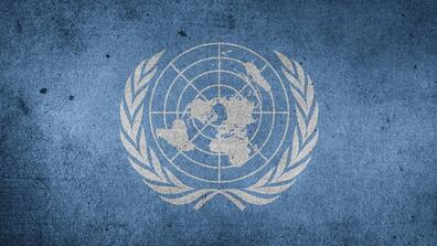 The UN Flag