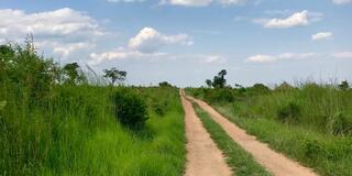 Bidibidi Road